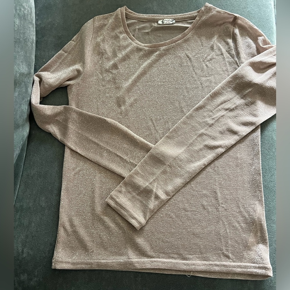 Free People Shimmering Bronze Fabric